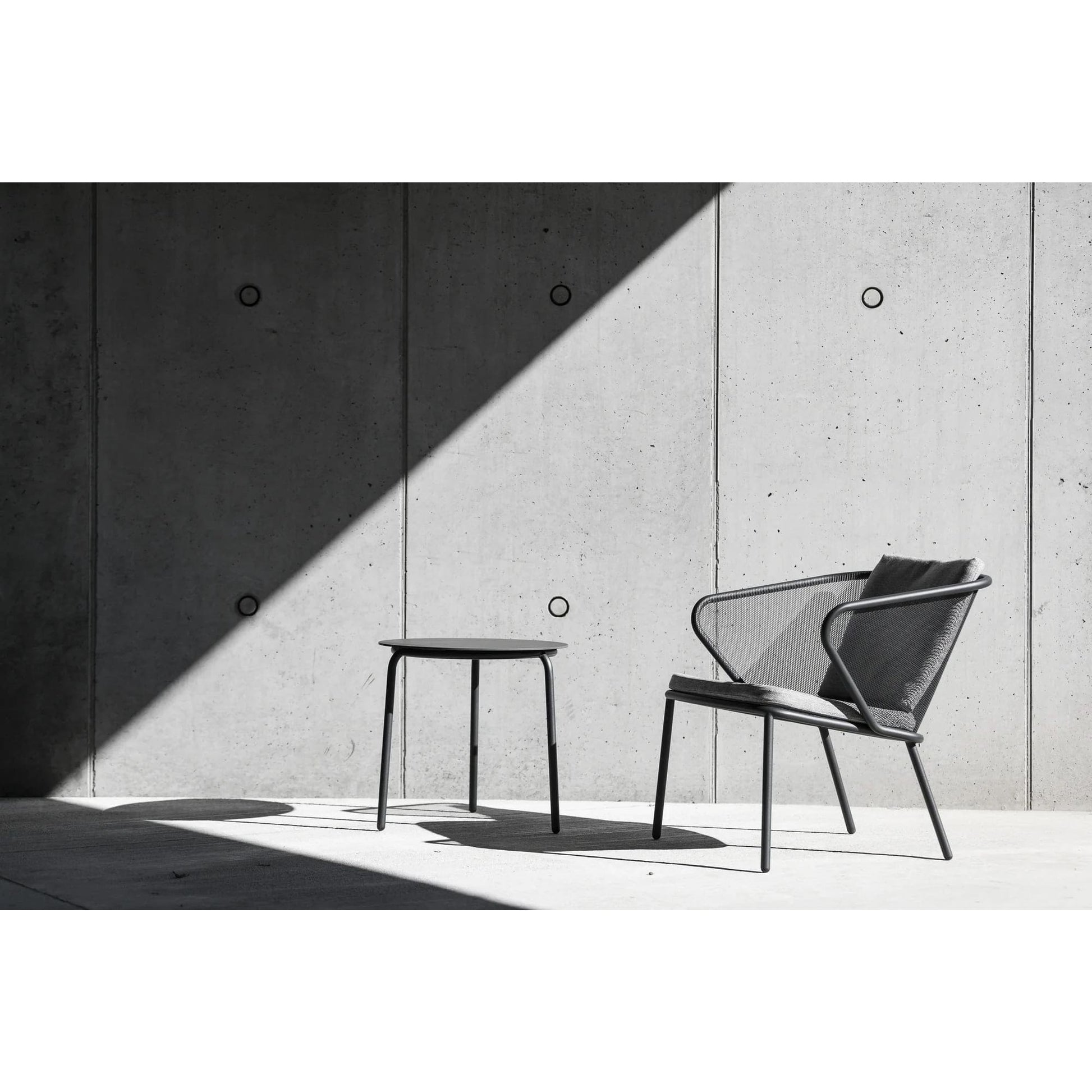 Todus - Condor Loungesessel