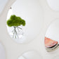 Cappellini - Cloud Standregal Ronan & Erwan Bouroullec